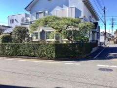 藤澤歯科医院
