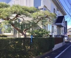 藤澤歯科医院