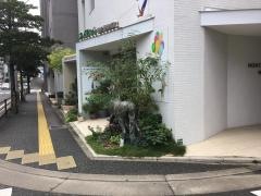 アイドル総合病院