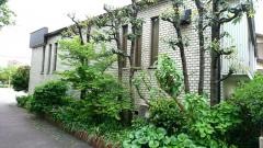 久野歯科医院