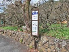 「荒井」バス停留所