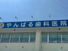 やんばる歯科医院