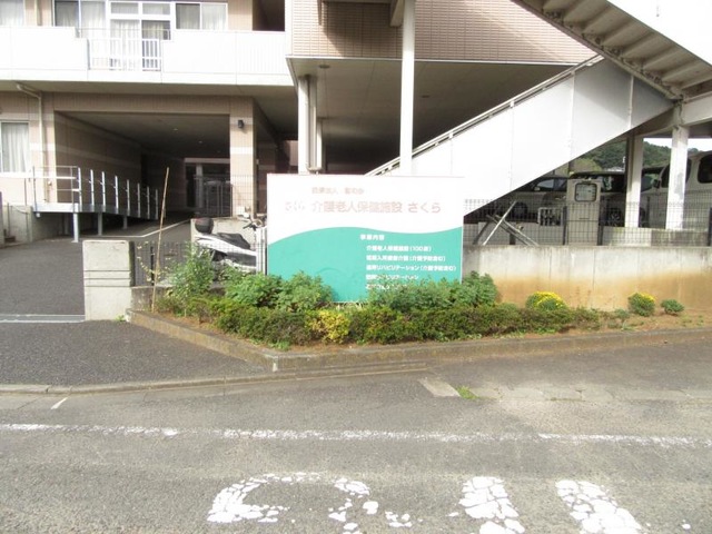 さくら