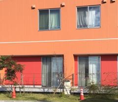 とちの実