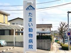 たまい動物病院