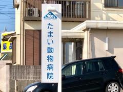 たまい動物病院