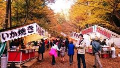 大矢田ひんここ祭