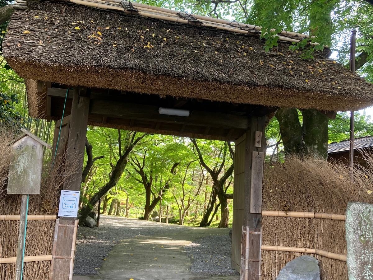 お茶屋