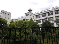 豊新小学校