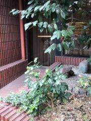 摩亜魯王洞