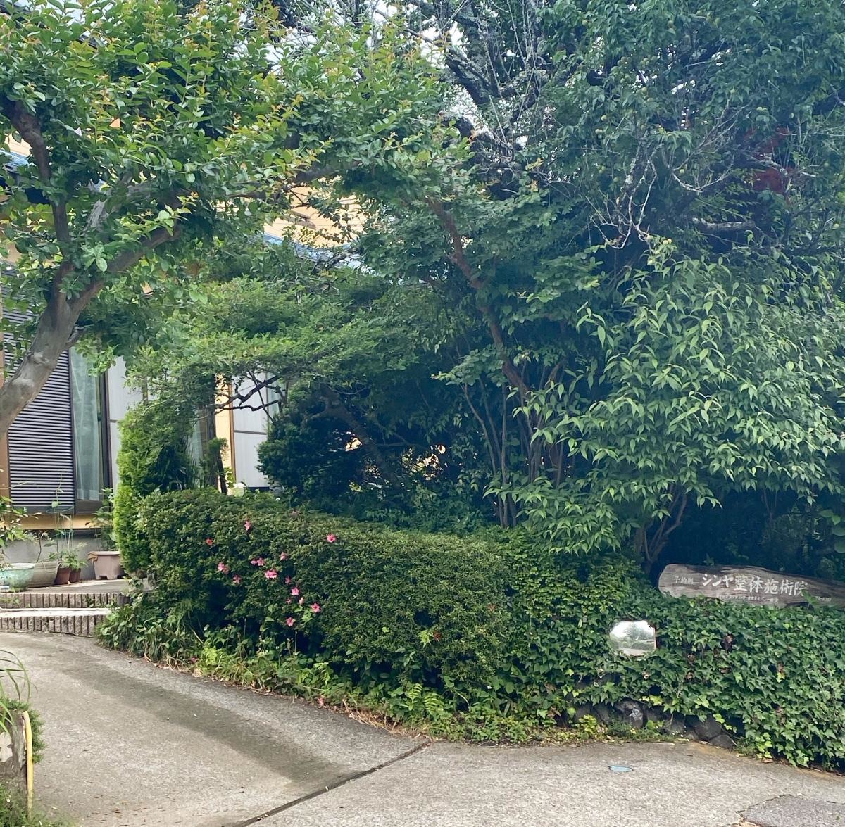 シンヤ整体施術院