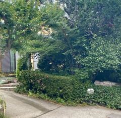 シンヤ整体施術院