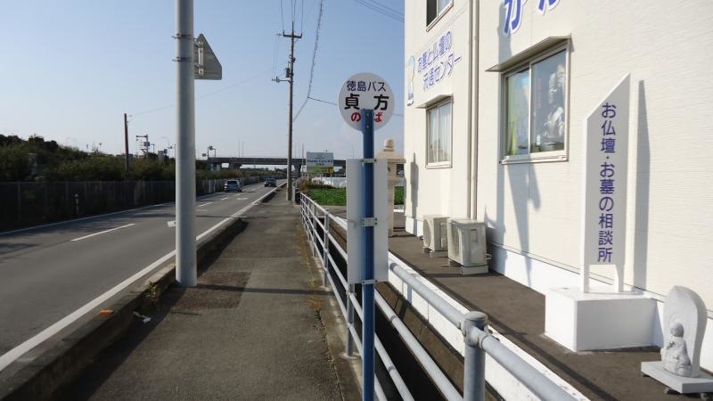 東から撮影