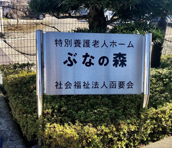 ぶなの森