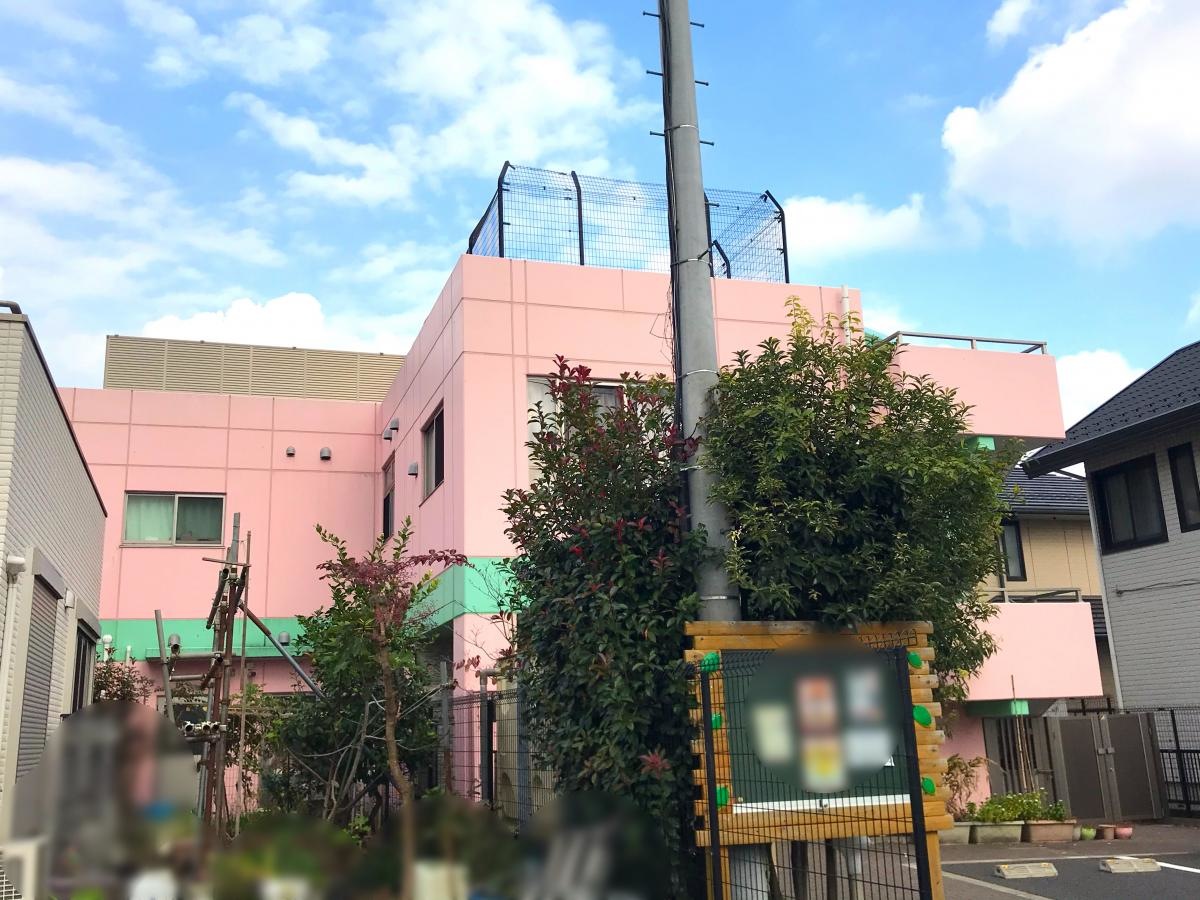 全体