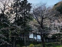 八幡大神社