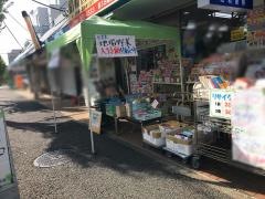 昭和書房
