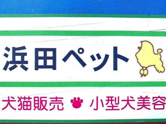 投稿写真8