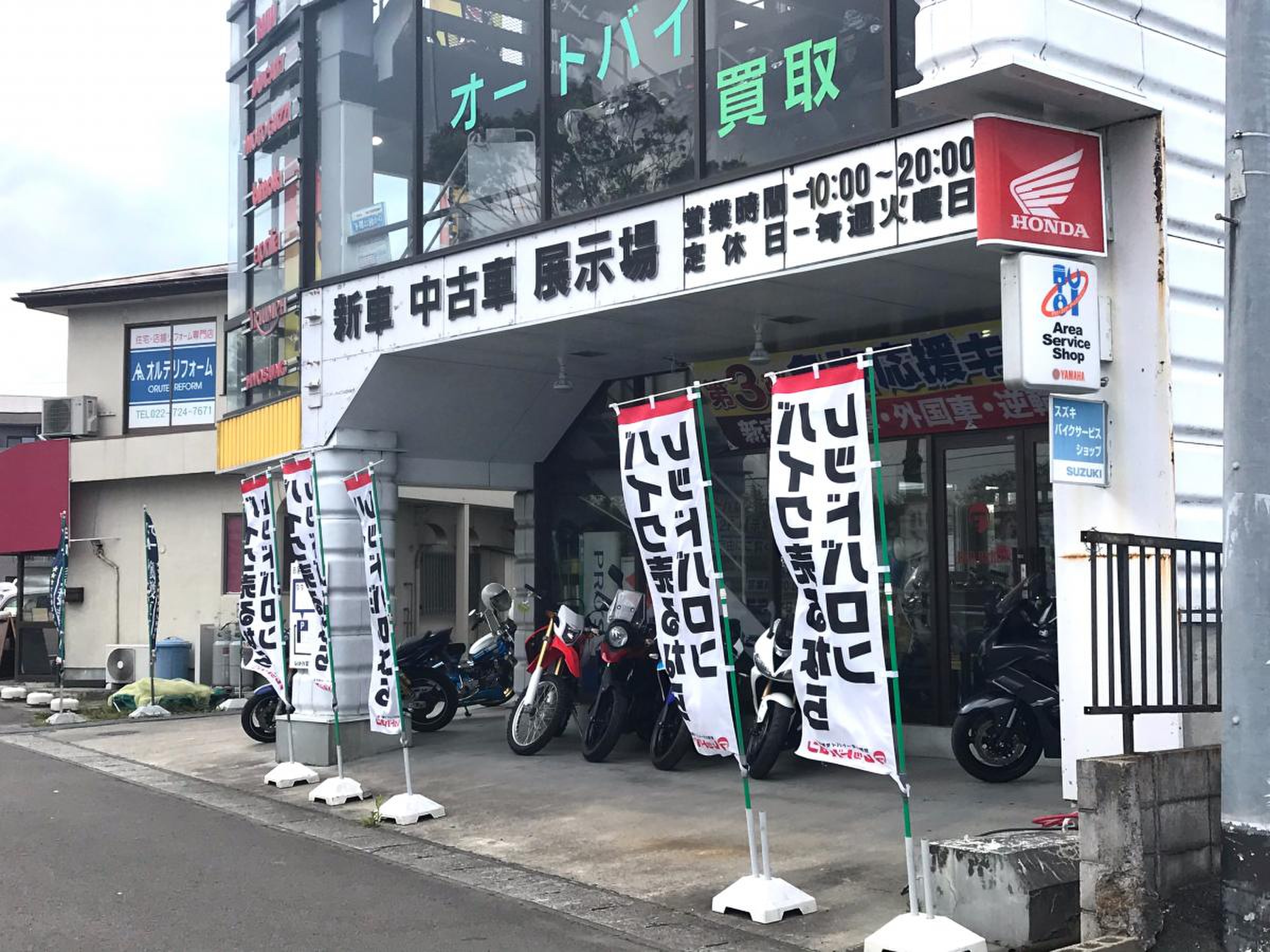 活動歴および当時の関連ビジュアル記録