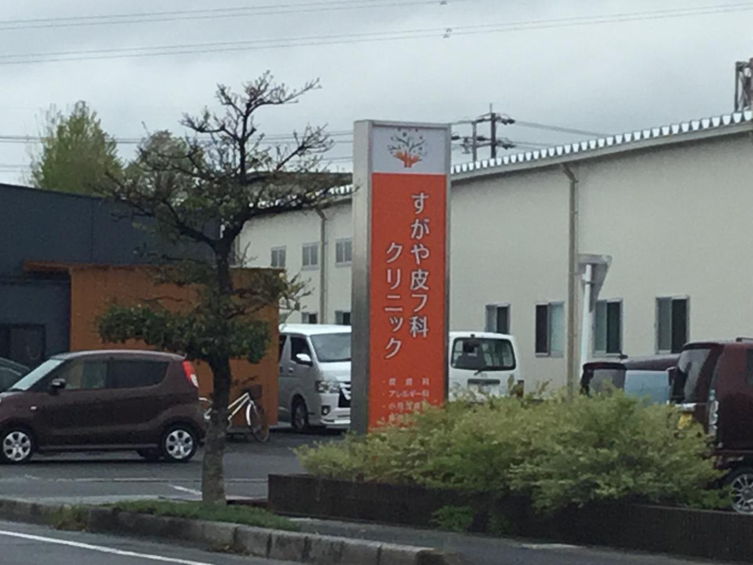 す が や 皮 フ 科 クリニック