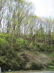 第1号鹿野緑地
