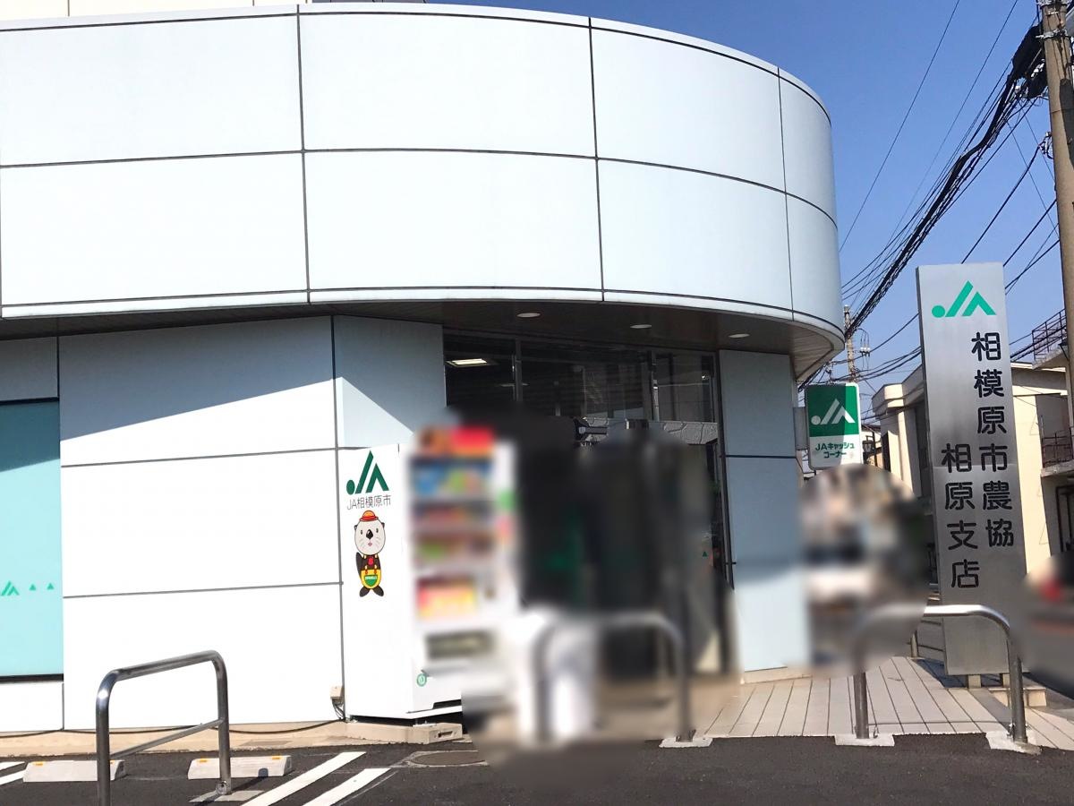 エントランス周り