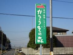 神々の宿る郷かつらぎの森