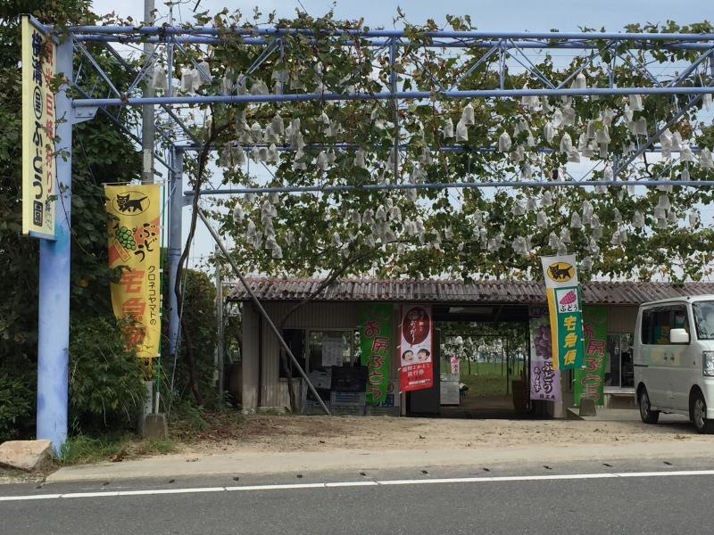 横溝（呈）ぶどう園 外観