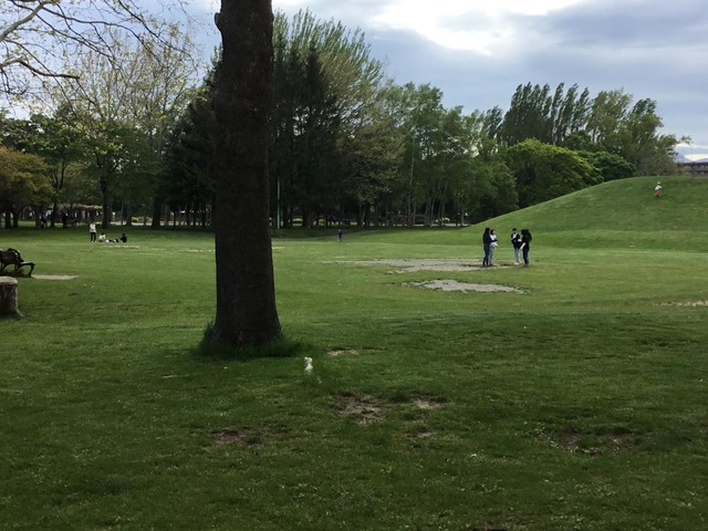 伏古公園
