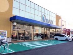 パシオス浜松市野店