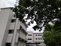 八幡小学校