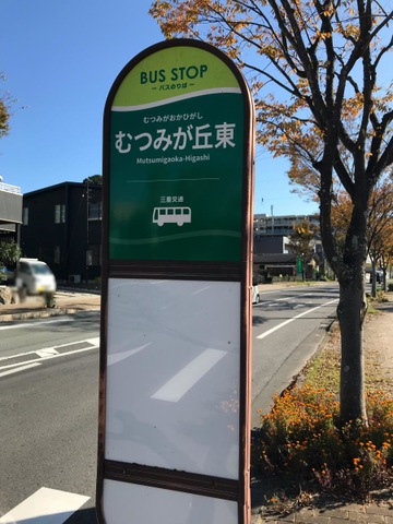 投稿写真6