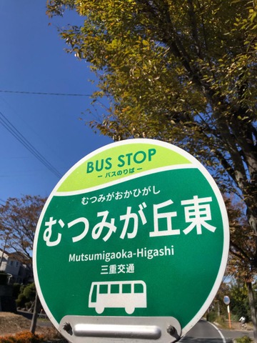 投稿写真1