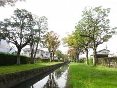 浜野緑地