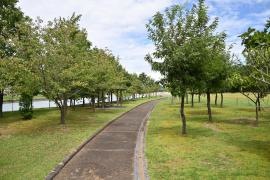 南町近隣公園