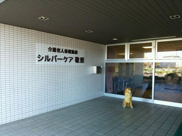 シルバーケア敬愛 看板