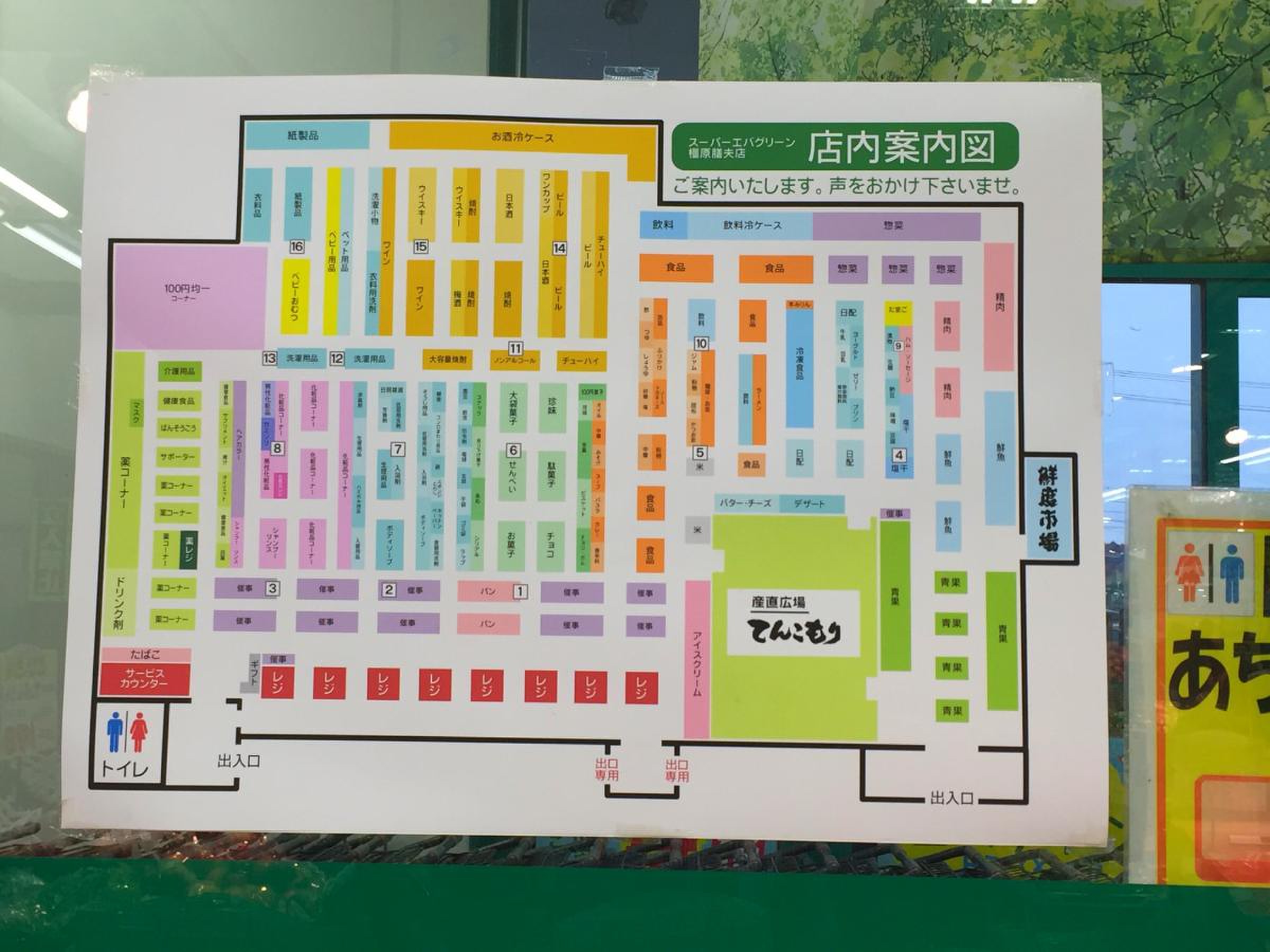 エバ グリーン 橿原