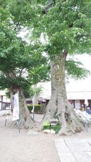 八枝神社