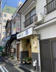 琴
