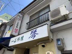 琴