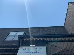 花茶花茶