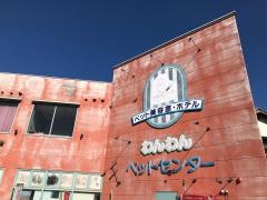 わんわんペットセンター前原店