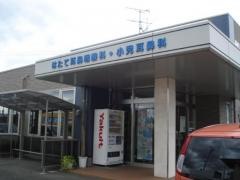 幡手耳鼻咽喉科クリニック