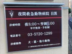 夜間救急動物病院目黒