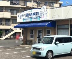 綾部動物病院大塚分院