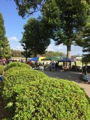 多古町立多古中学校