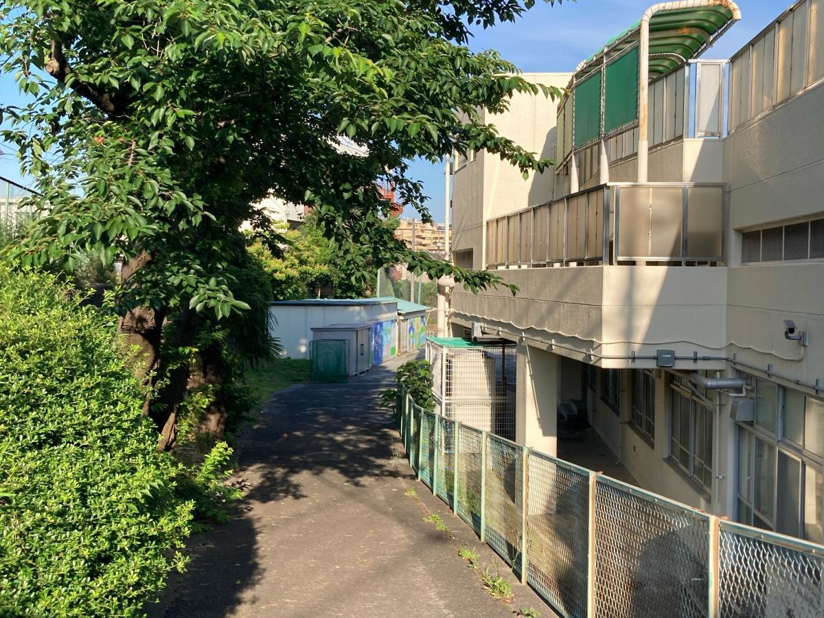 馬場小学校の施設外観です。