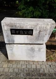 藤が丘公園