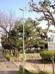 西方公園