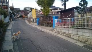 松本中央幼稚園